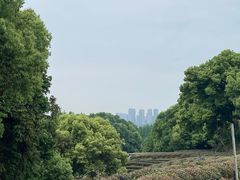 -西湖风景区十里琅珰-五云山