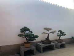 -绮园景区