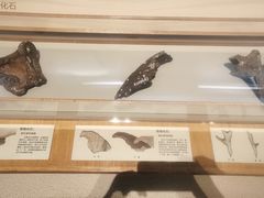 -舟山博物馆