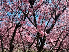 -白塘生态植物园