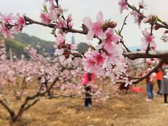-龙寺生态园