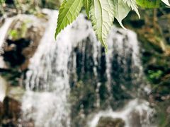 -安吉龙王山峡谷漂流