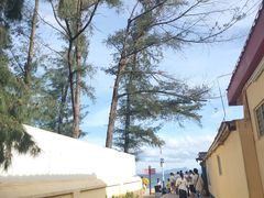 -玫瑰海岸文化旅游度假区
