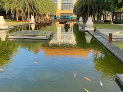 -三亚海棠湾万丽度假酒店