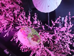 -韵秋荷(宝山龙湖天街店)