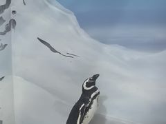 -上海海洋水族馆