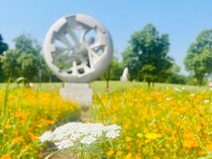 -洋湖国家湿地公园