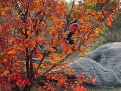 -青州市云门山风景区