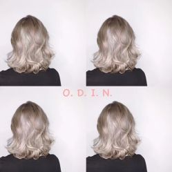 -ODIN 奥丁形象设计 
