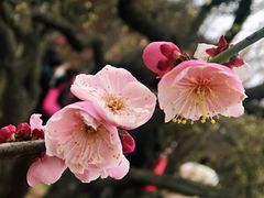 -贵阳市花溪国家城市湿地公园