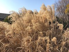 -郑州植物园