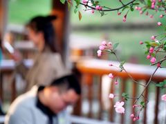-圩墩遗址公园