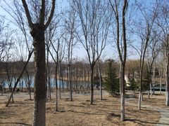 -大兴滨河森林公园