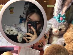 -1013 PET SHOP 宠物商店(近铁城市广场店)