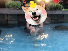 -森波拉火山温泉