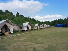 -上海海湾国家森林公园