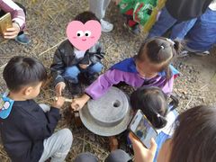 -田园东方蜜桃村的田野营地