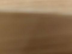 -萌宠奇缘(荣鼎店)