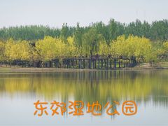 -东郊湿地公园