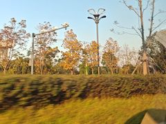 -合肥三国新城遗址公园