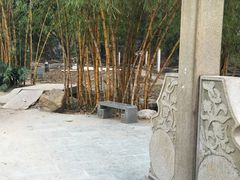 -晓港公园
