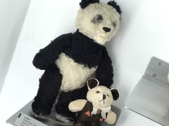 -济州岛泰迪熊博物馆