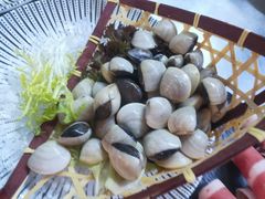 -马家斑.鲜鱼火锅(松湖万科店)