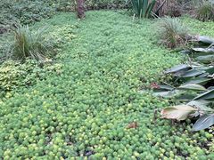 -桤木河湿地公园