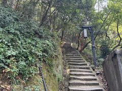 -灵顺寺