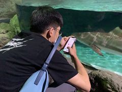 -杭州海底世界