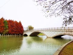 -九里河湿地公园