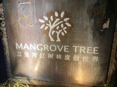-三亚湾红树林度假世界(木棉酒店)