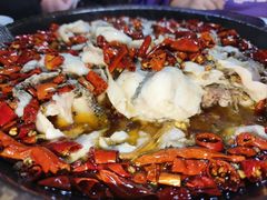 -金三可市井水煮鱼(金碧园店)