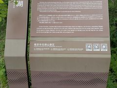 -南京市无想山景区