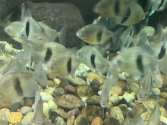 -福州罗源湾海洋世界旅游区