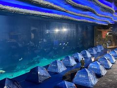 -珠海长隆海洋王国