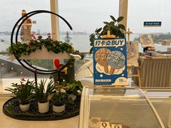 -朵云书院(滴水湖店)