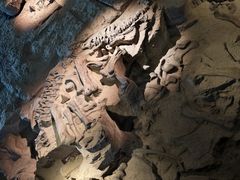 -自贡恐龙博物馆