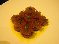 -万豪中餐厅·粤菜·北京粤财JW万豪酒店