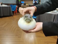 -肆月河豚·新淮扬(金融街店)