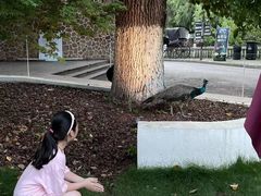 -J Create城市露营咖啡·简餐·宠物(上海动物园店)