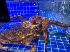 -鸽子侯·家宴·平价海鲜(绿地店)