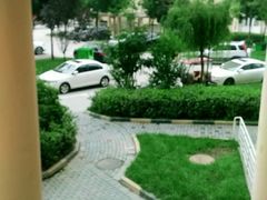 -都江堰中华大熊猫苑
