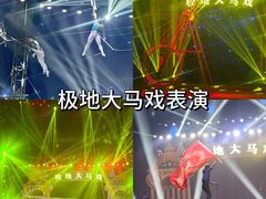 -海合安天津极地海洋公园