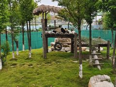 -西霞口神雕山野生动物世界