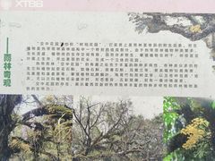 -中国科学院西双版纳热带植物园