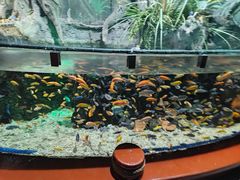 -太平洋海底世界