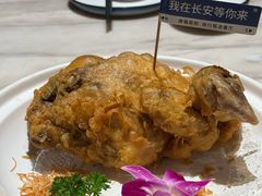 -唐猫庭院·千年陕菜(大唐不夜城店)