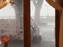 -Silly Dog Coffee(滨江店)