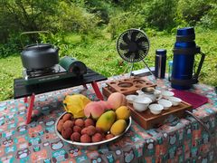 -武陵山森林公园